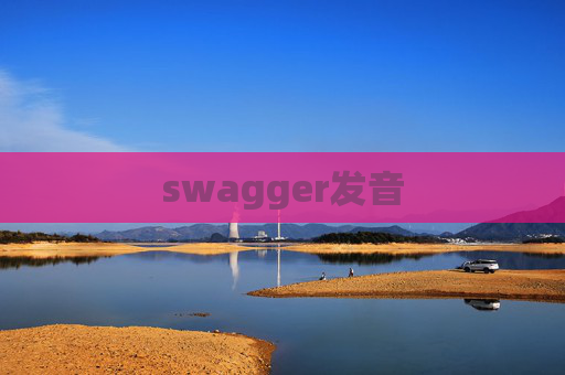 swagger发音