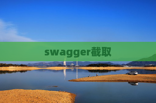 swagger截取